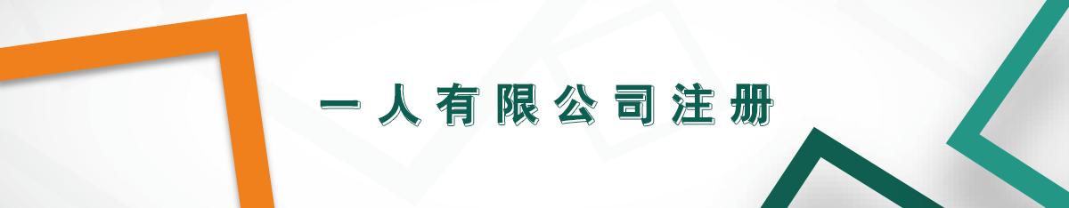 一人有限公司注冊